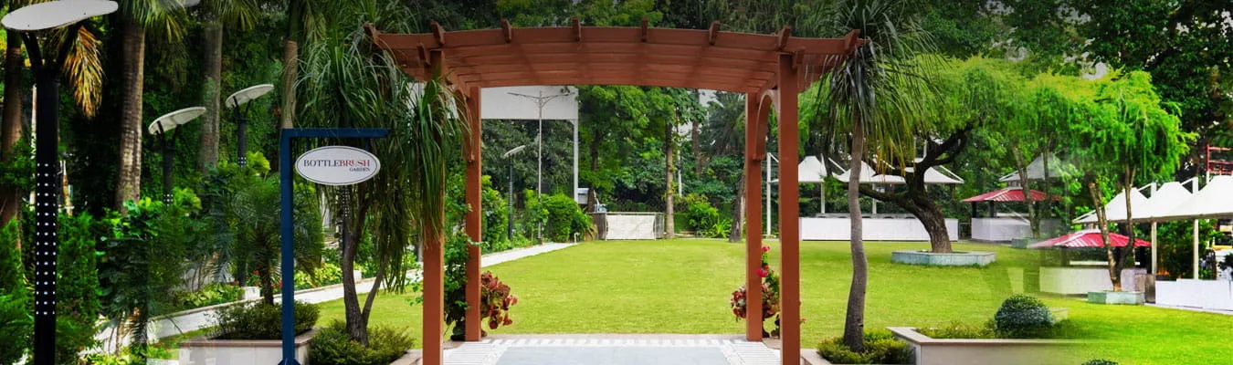 Bottlebrush Garden Lawn — The Aketa Story Our Brand Hotel Aketa Dehradun
